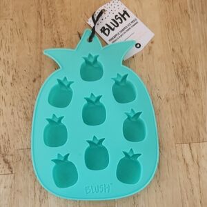 Blush Teal Pineapple Silicone Mold